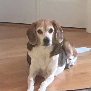 Meet your Posher, Ststeve